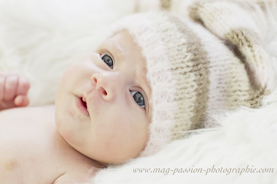 IMG_1381 as Smart Object-1